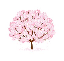 桜